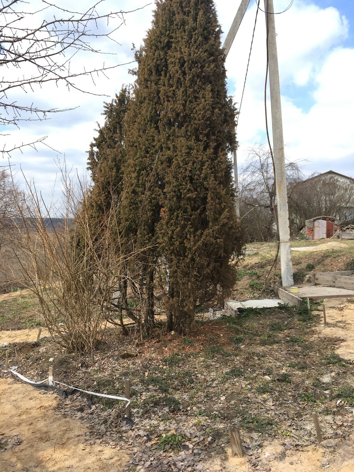 Сад в Старое Уткино Калужской области, процесс создания