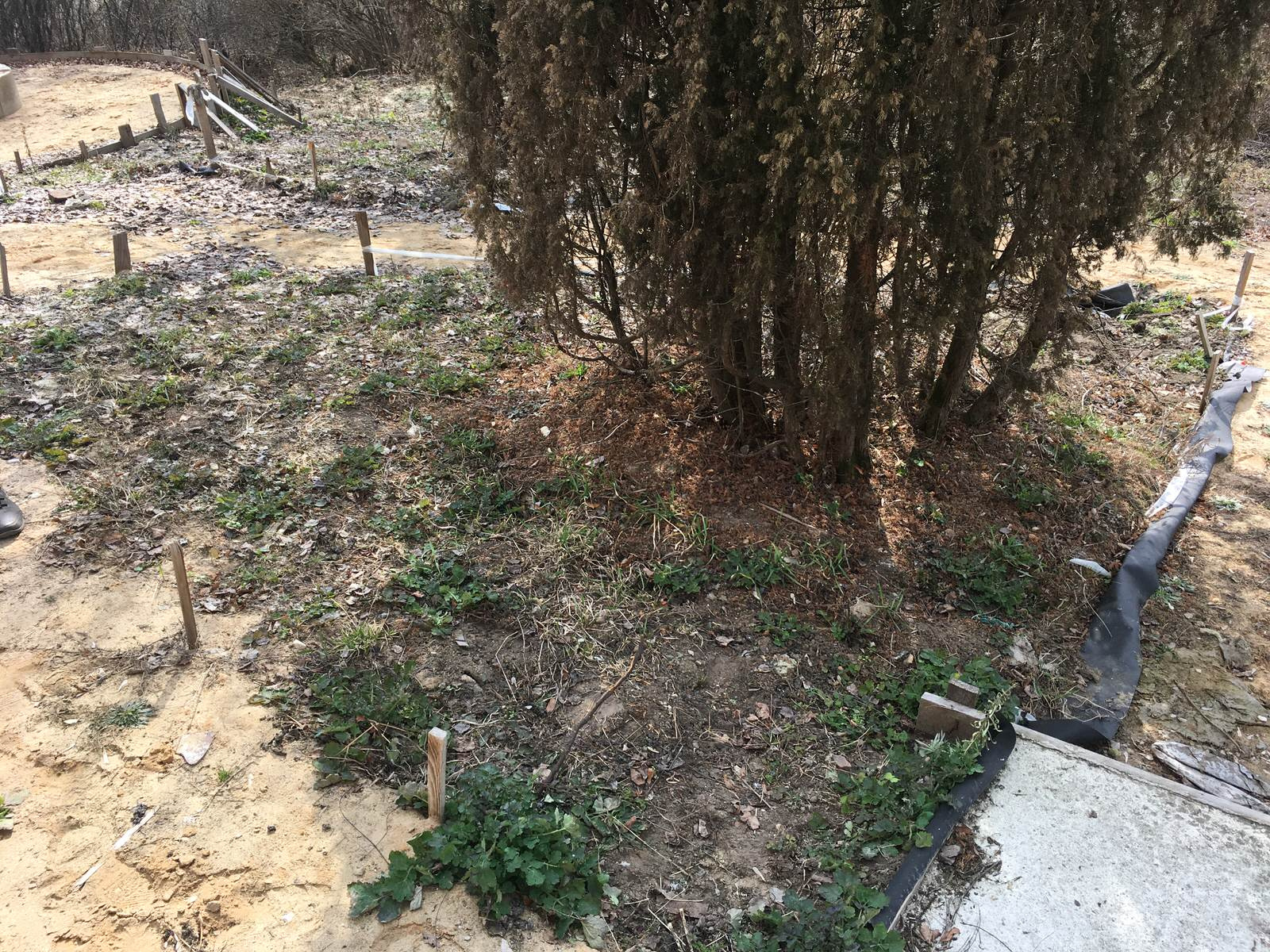 Сад в Старое Уткино Калужской области, процесс создания