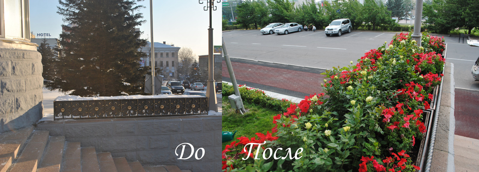 Посев газона, посадка саженцев. посадка многолетних цветов, укладка дорожки, авт