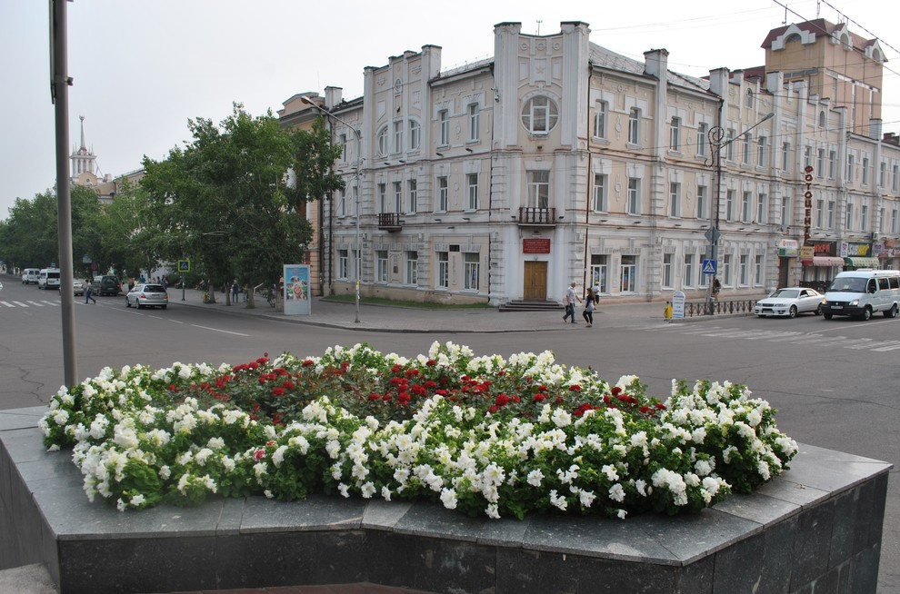 Посев газона, посадка саженцев. посадка многолетних цветов, укладка дорожки, авт