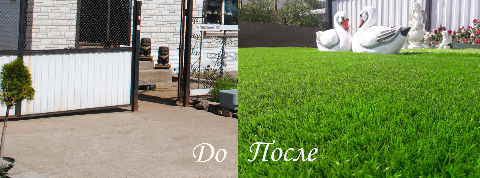 Посев газона, посадка саженцев. посадка многолетних цветов, укладка дорожки, авт