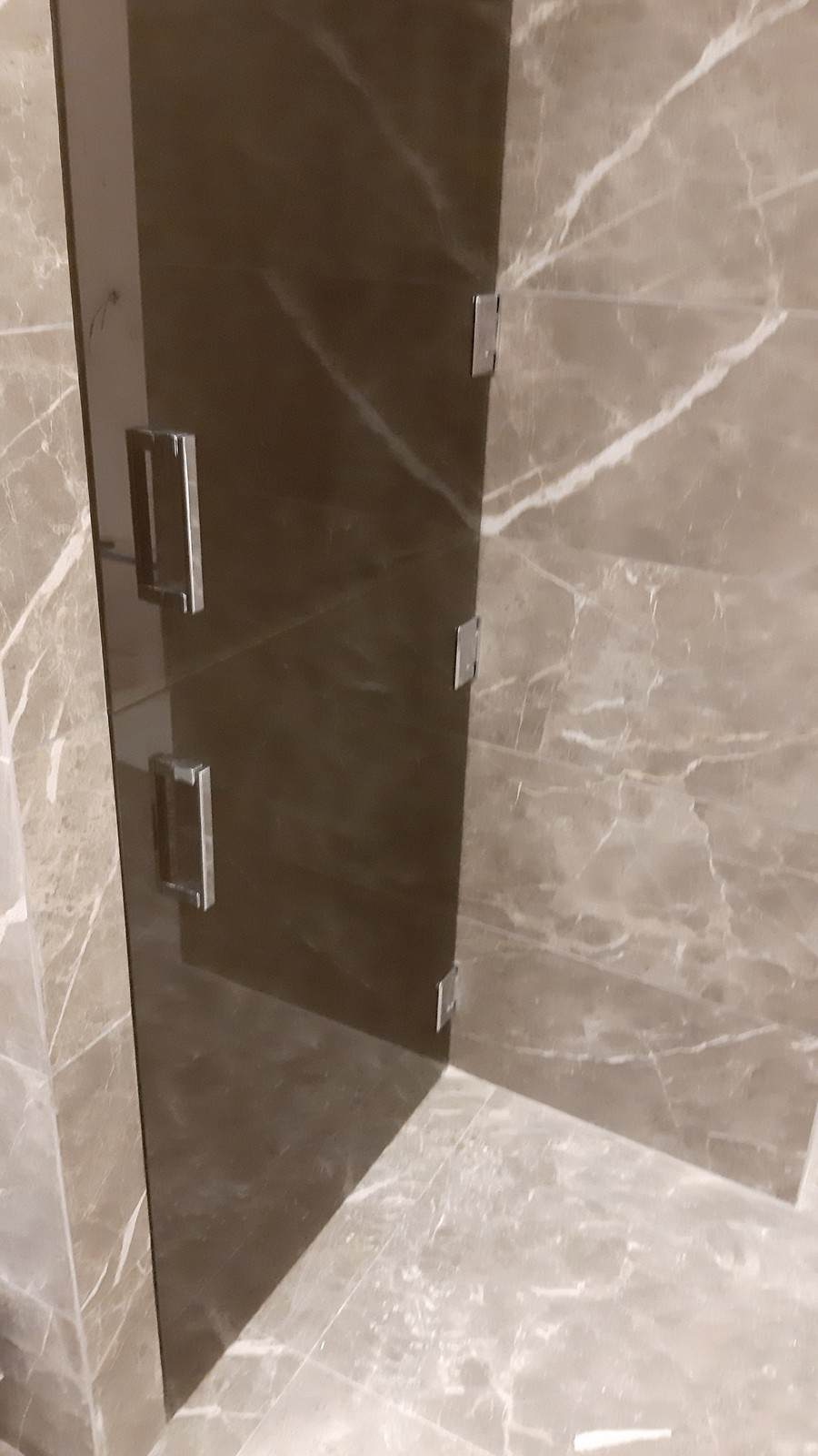 Стеклянные двери