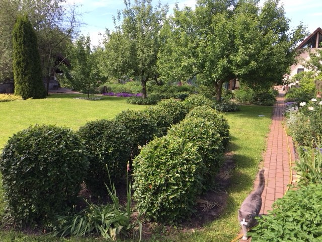 Александровский сад