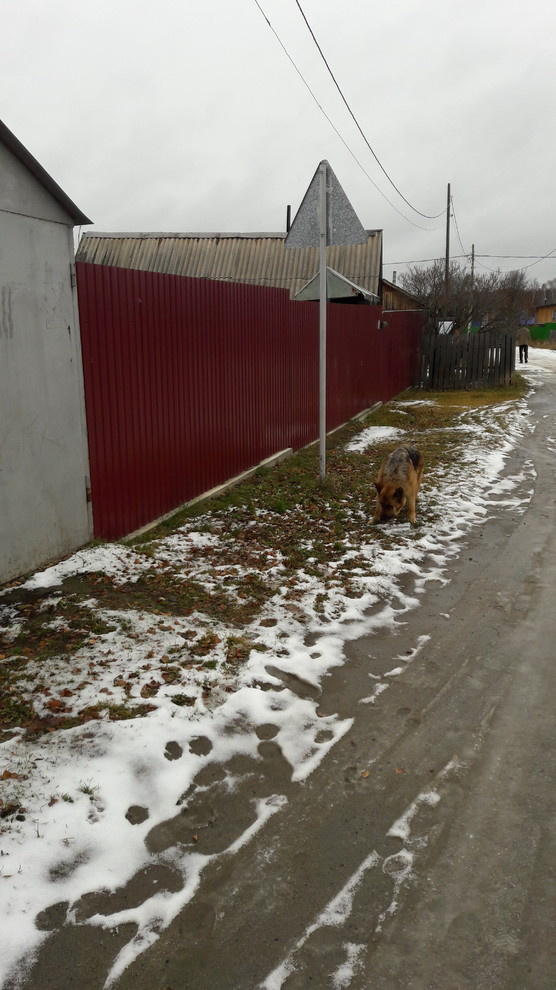 забор, ростверг, профлист 150м