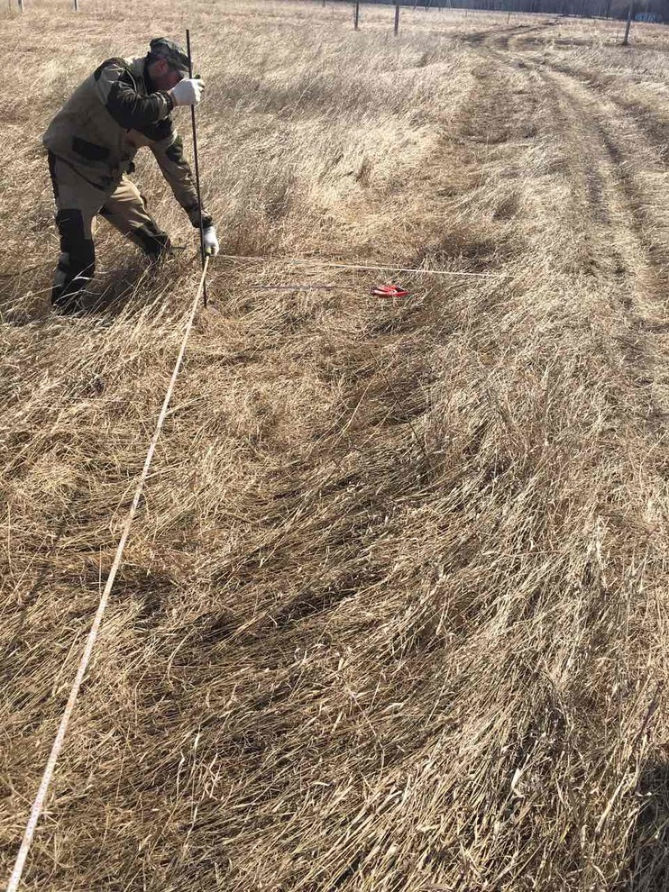 Строительство каркасного дома