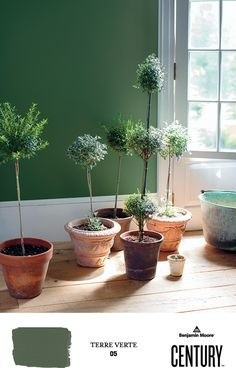 Краска Benjamin Moore