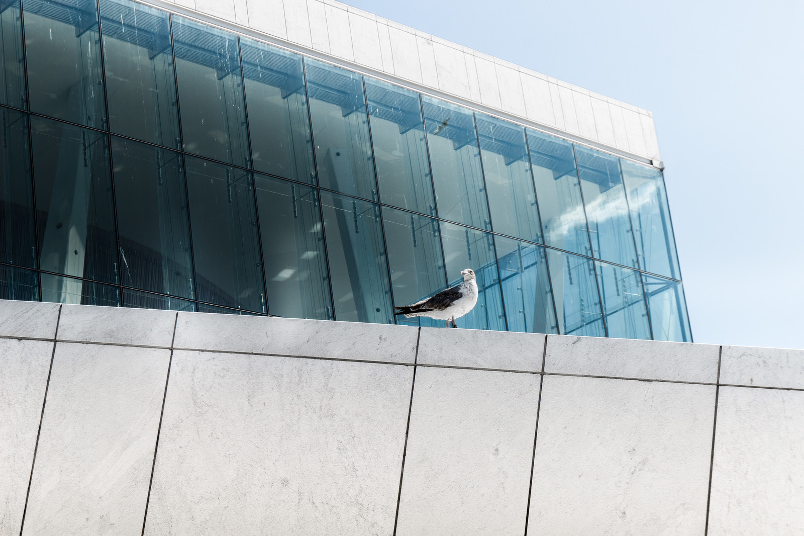 Обложка проекта: Opera House в Осло