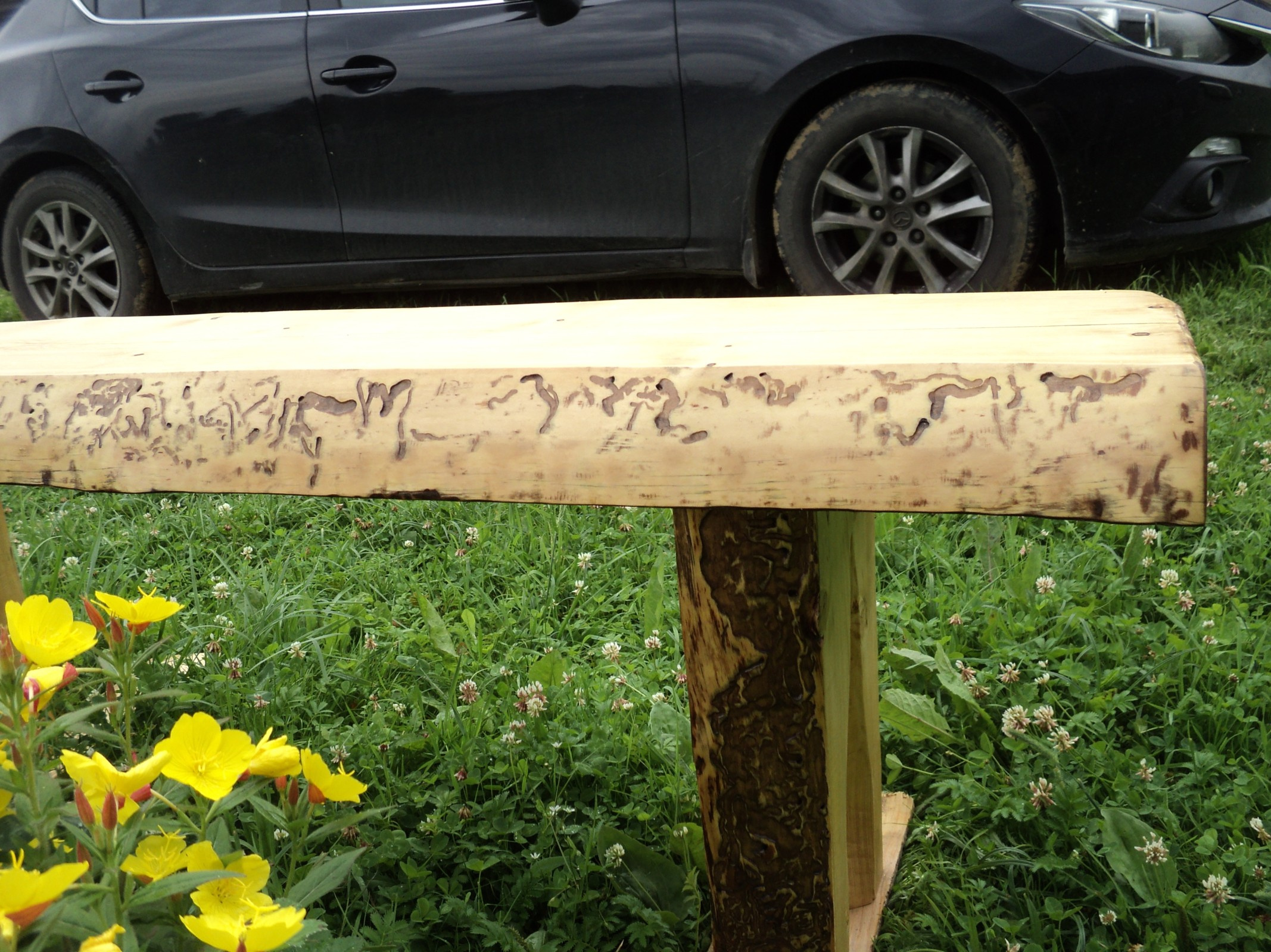 Скамейка деревянная