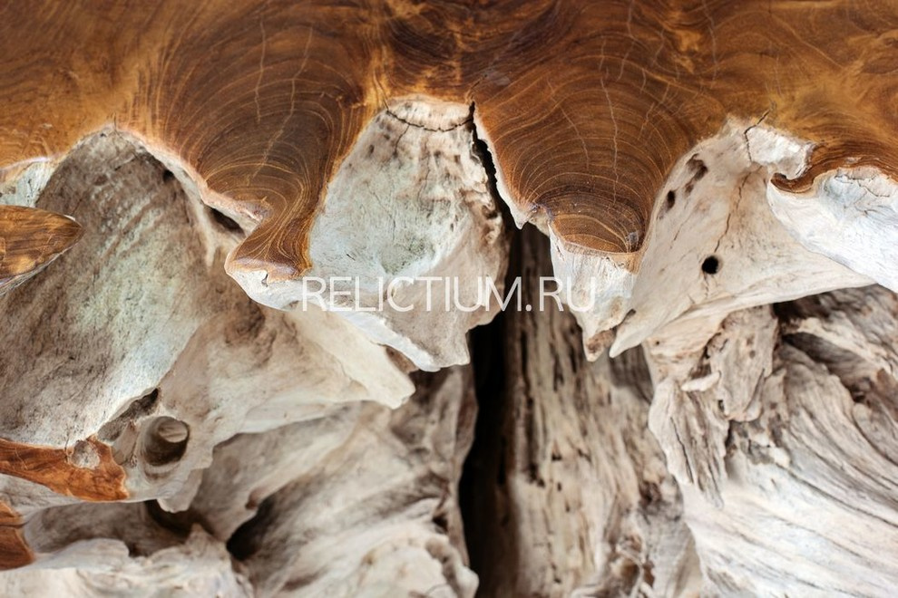 Обложка проекта: RELICTIUM