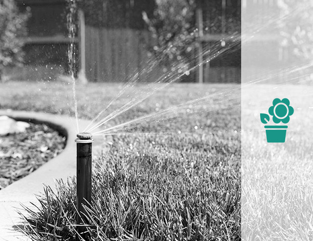 Мобильное приложение