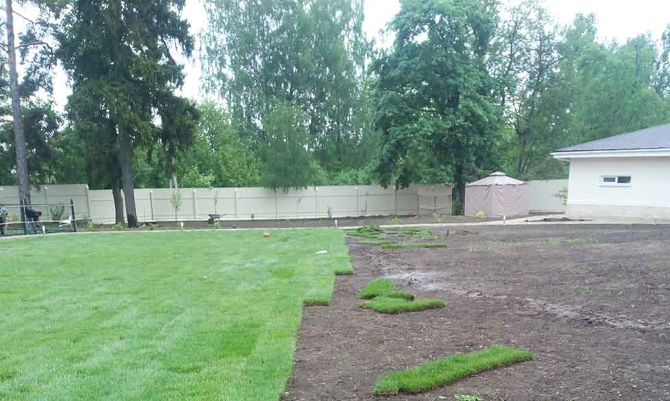 Озеленение дачного участка