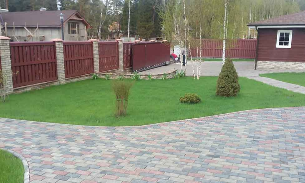 Озеленение дачного участка