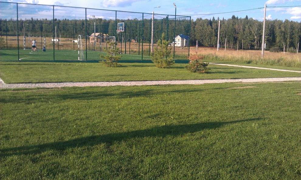 Озеленение дачного участка