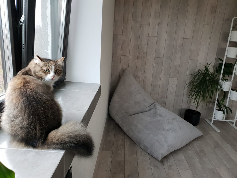 МИНИ-ЛОФТ В 2Х-КОМНАТНОЙ ХРУЩЕВКЕ