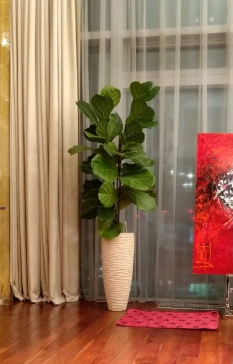 Аппартаменты в Москва Сити