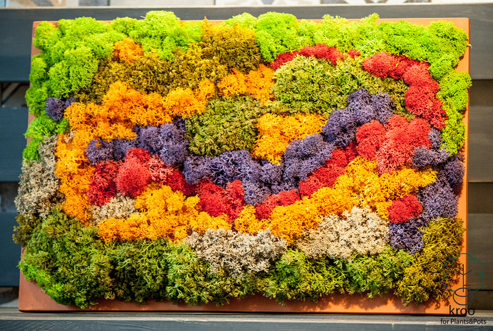 Фитокартины из мха