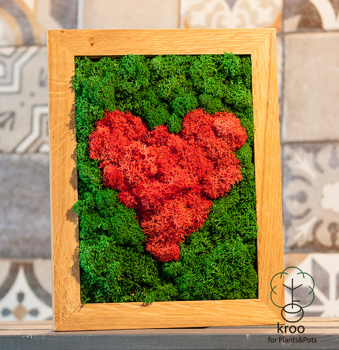 Фитокартины из мха