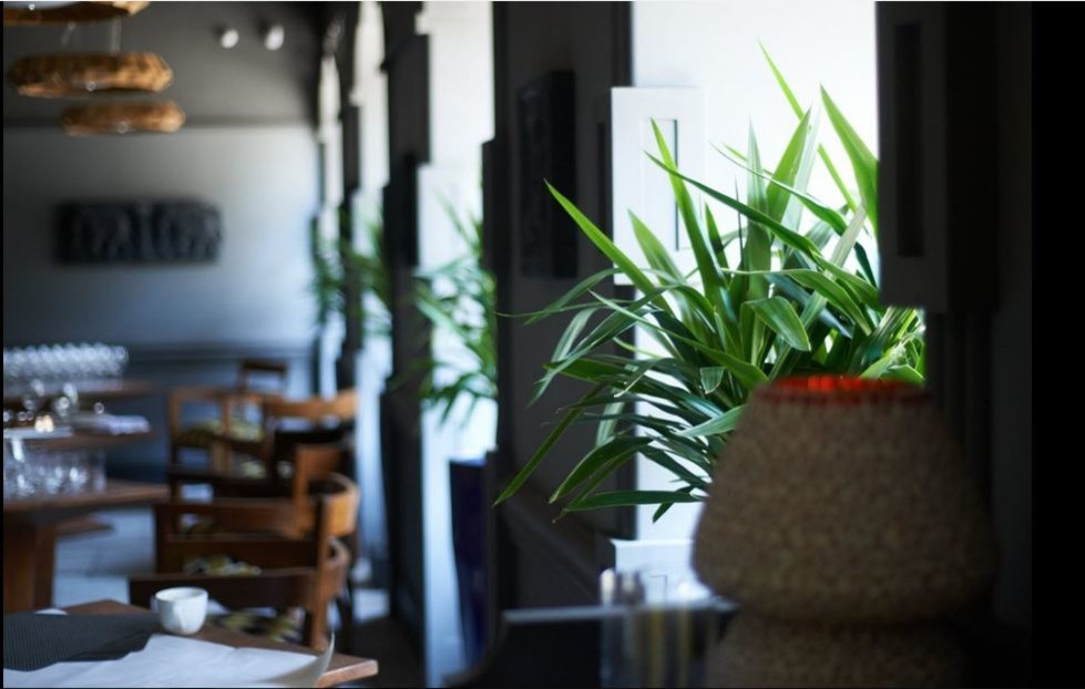 Ресторан индийской кухни в Санкт-Петербурге