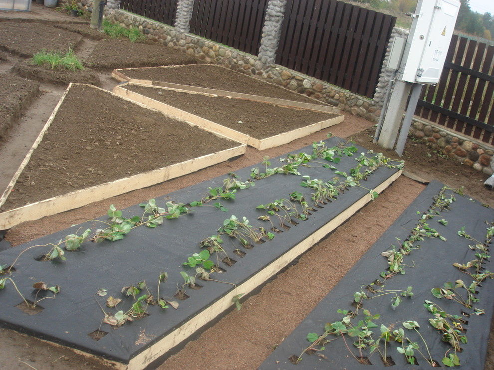 Сад в стиле кантри