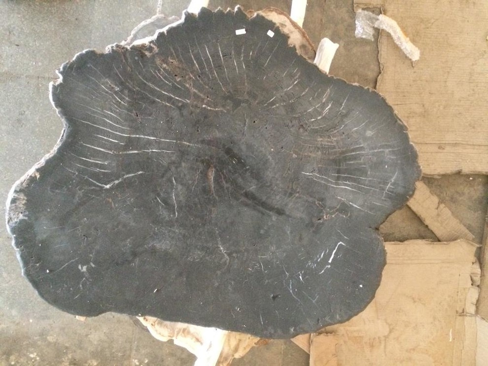 Окаменелости Бали и Явы