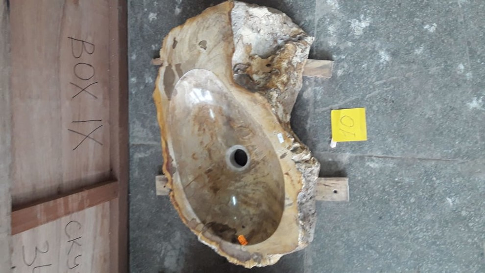 Окаменелости Бали и Явы