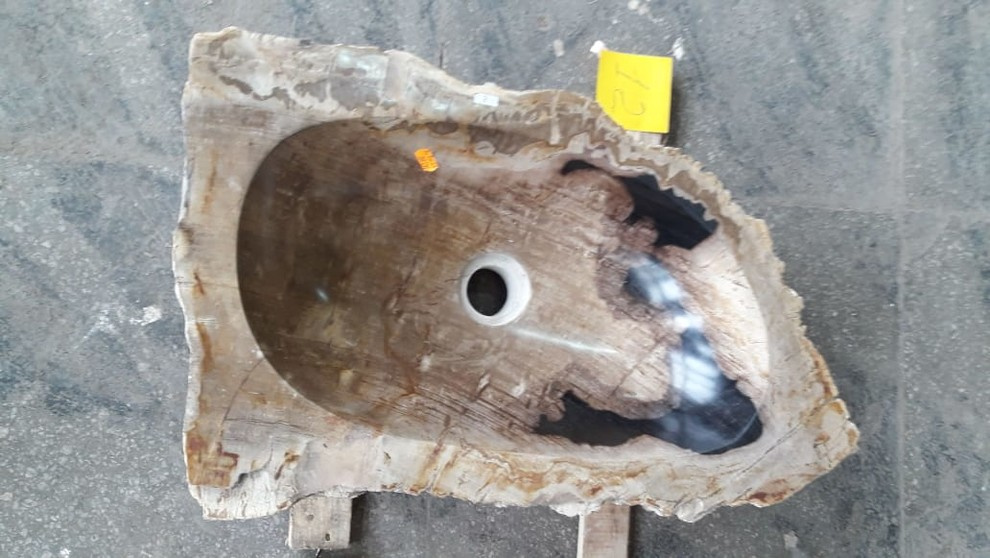 Окаменелости Бали и Явы