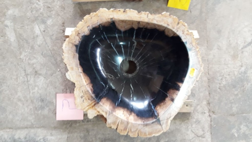 Окаменелости Бали и Явы