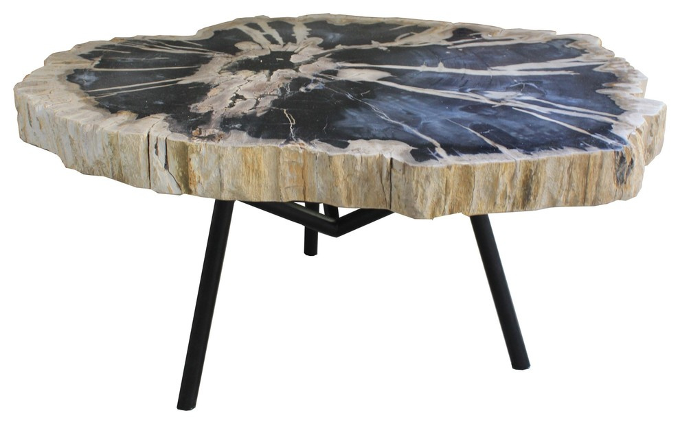 Окаменелости Бали и Явы