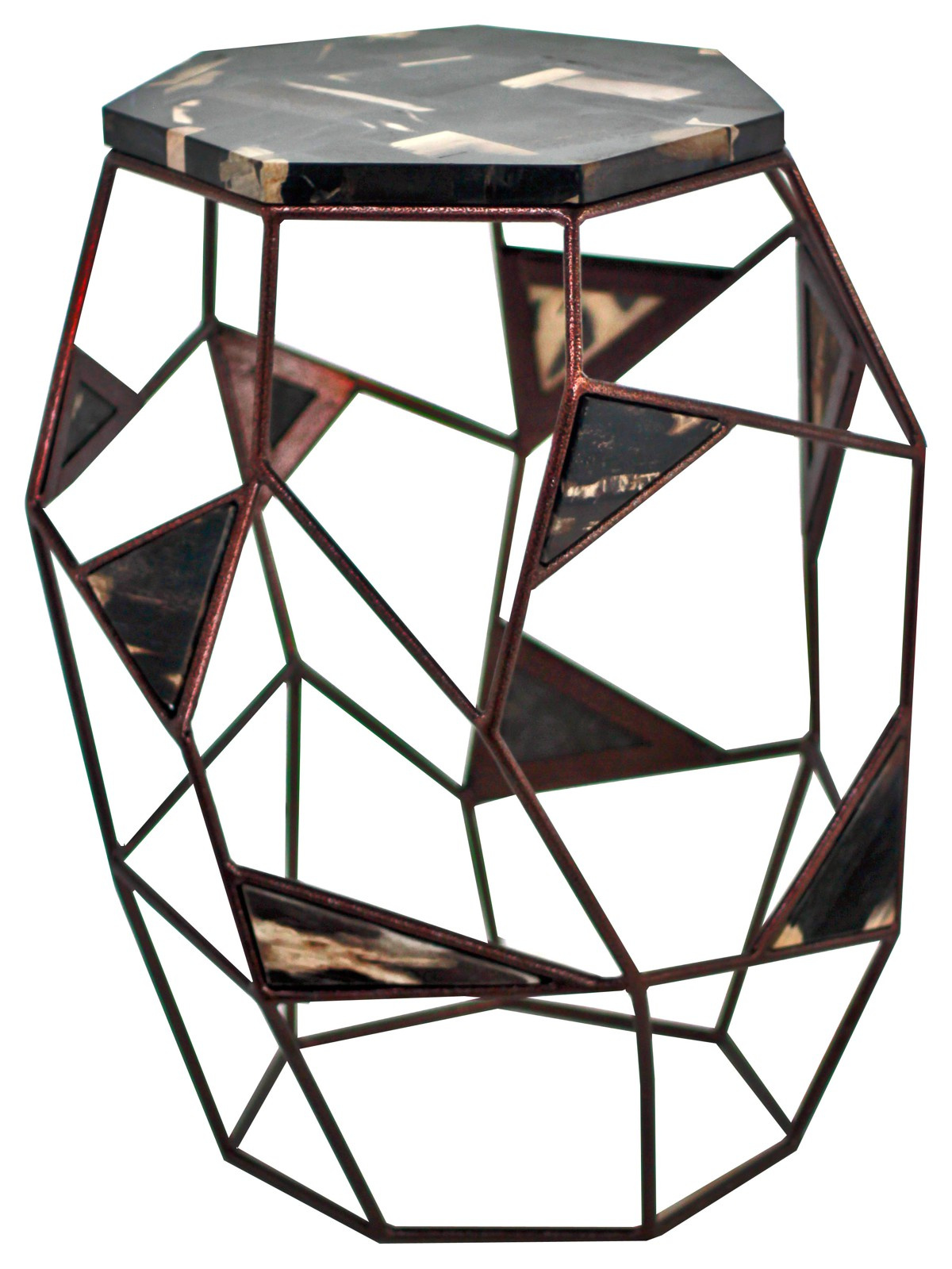 Окаменелости Бали и Явы