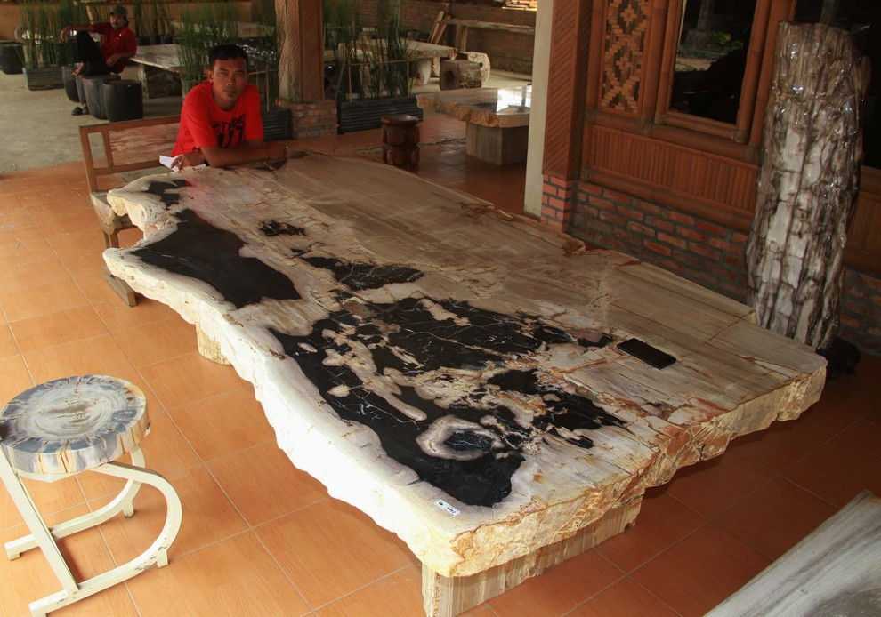 Окаменелости Бали и Явы