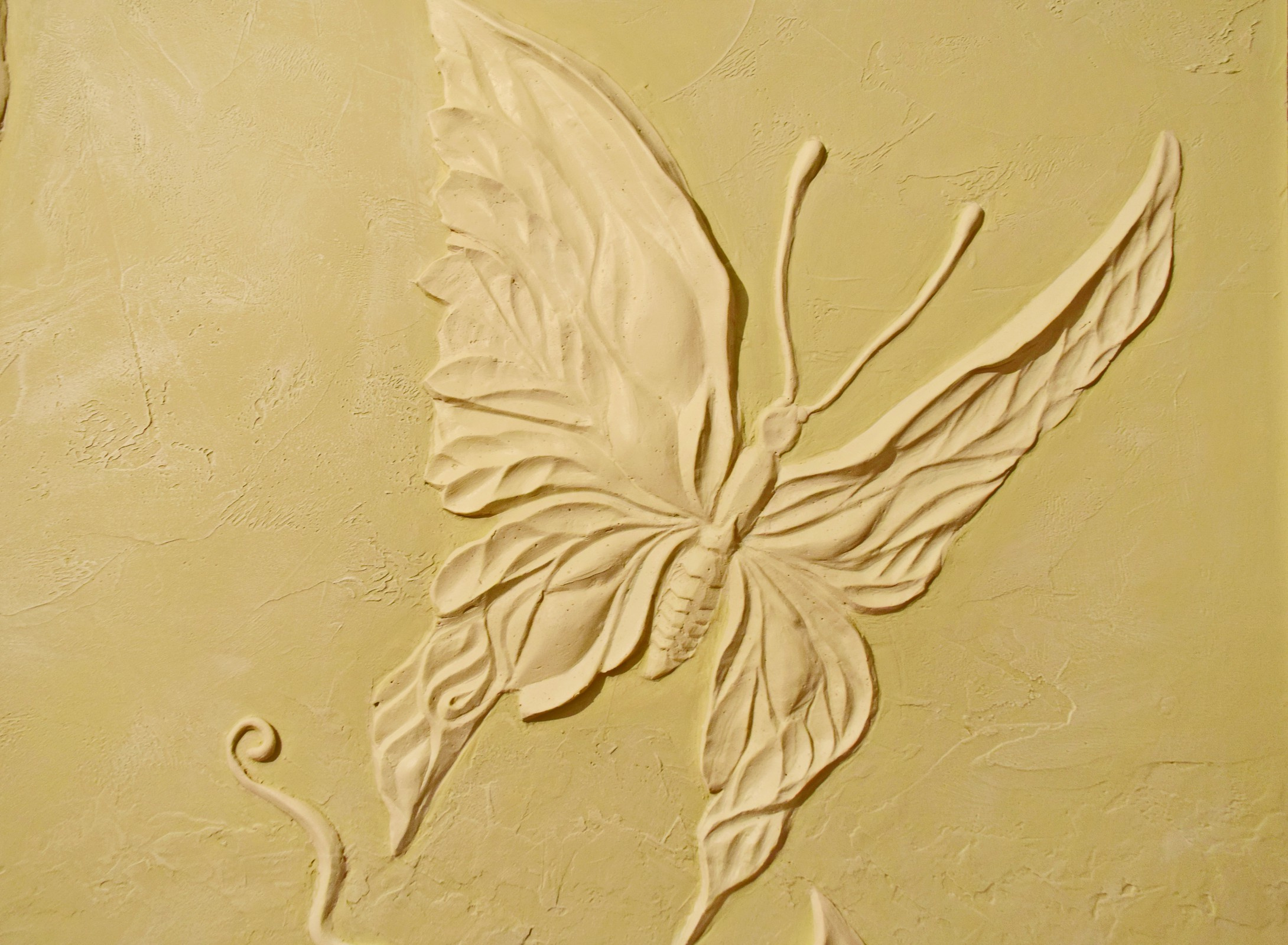 Обложка проекта: Бабочки