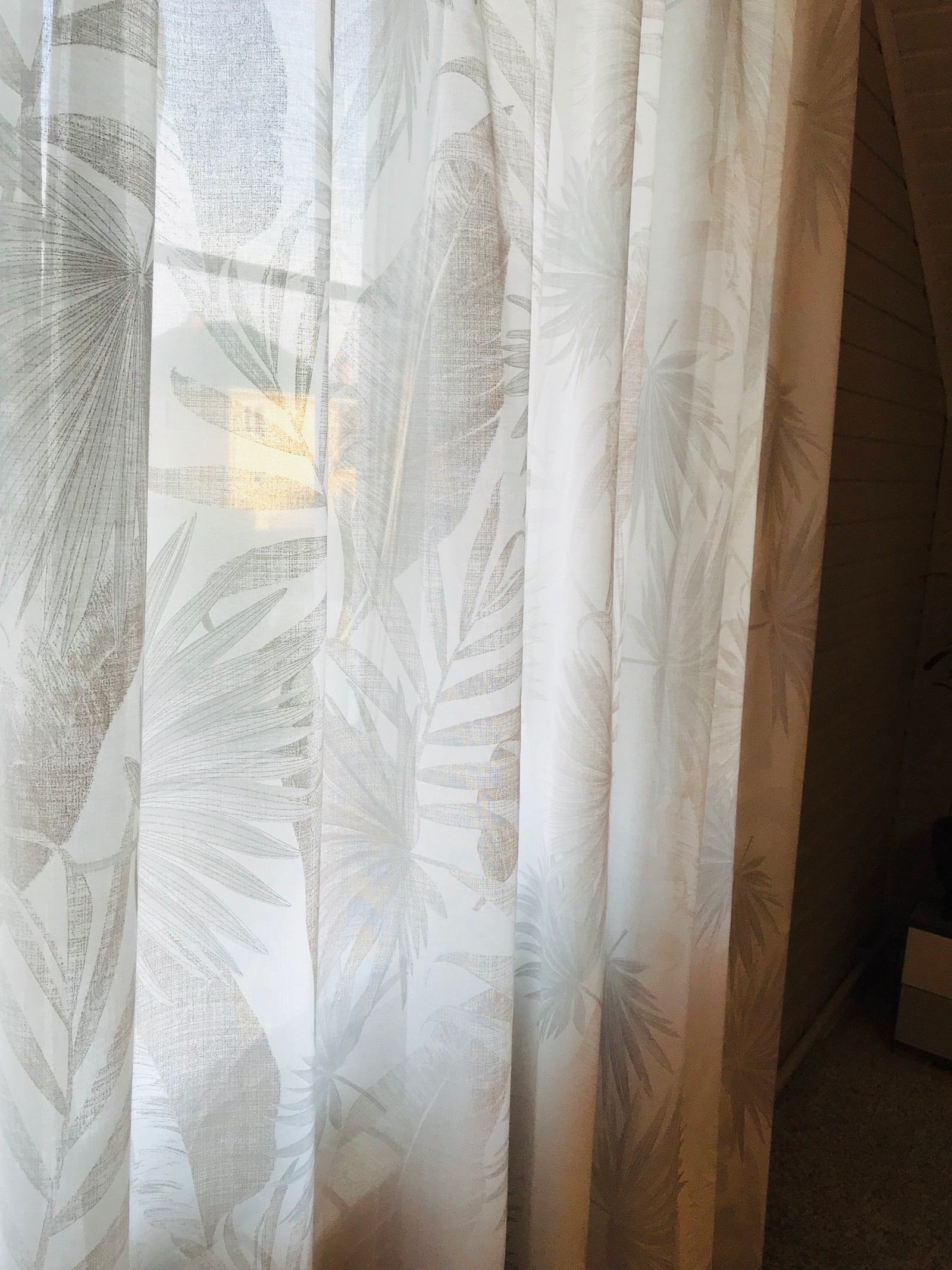 "Тропический лес", в Раменском.