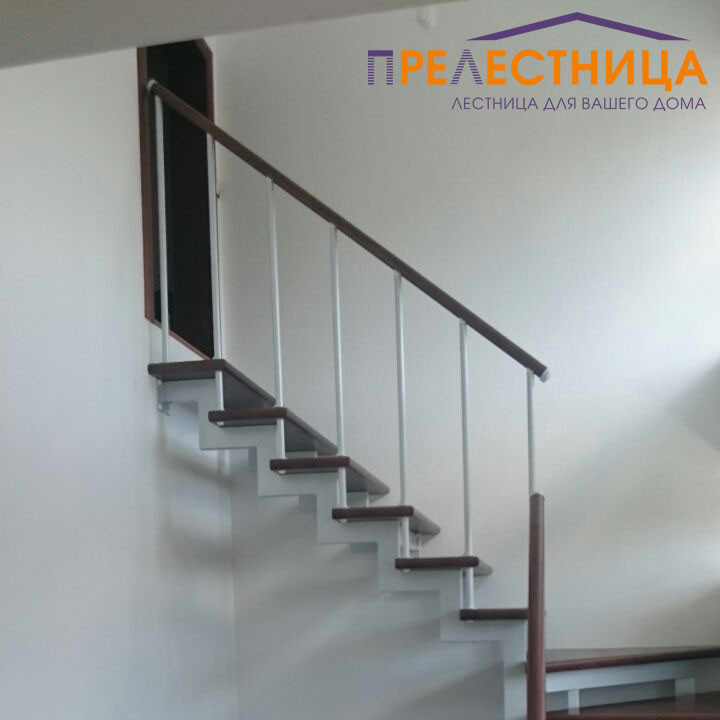 Обложка проекта: Лестница на двойном косоуре Тандем - 25