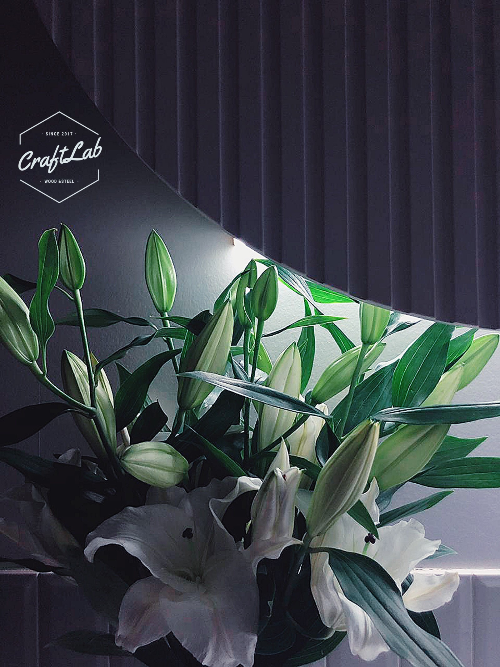 Обложка проекта: Кухня Дизайнера