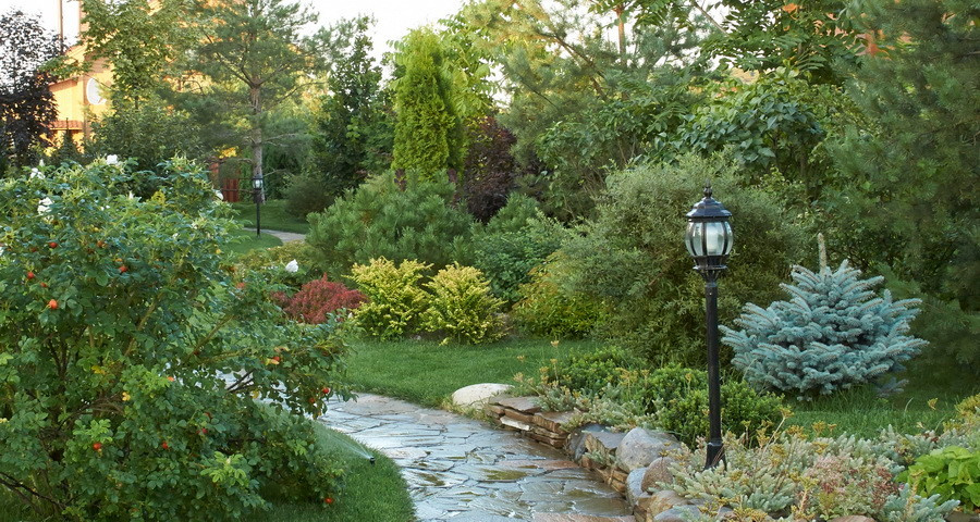 Витро Кантри