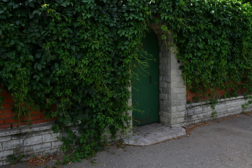 Ильинка. Реконструкция сада