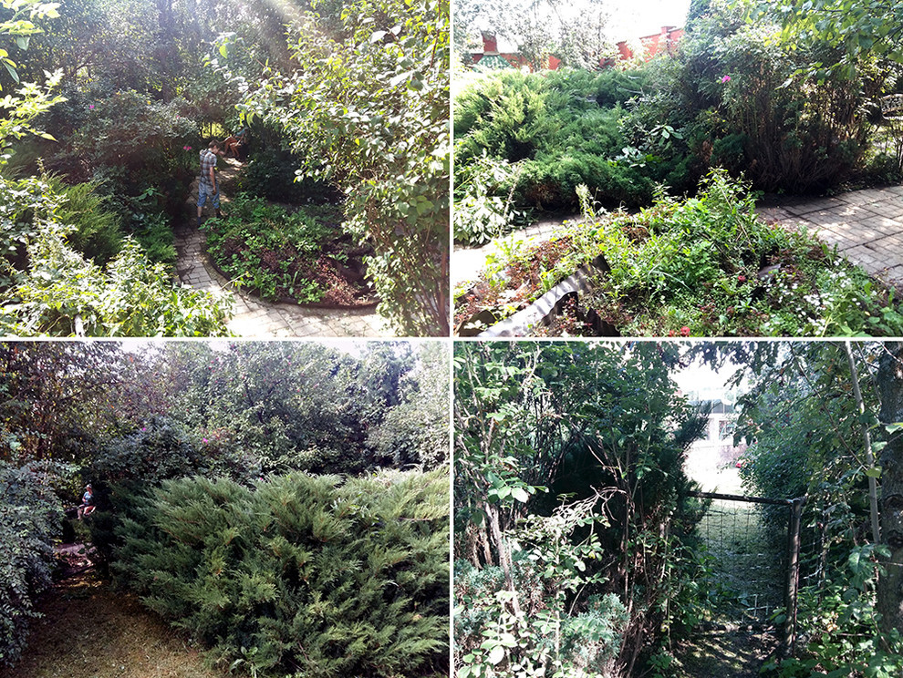 Ильинка. Реконструкция сада