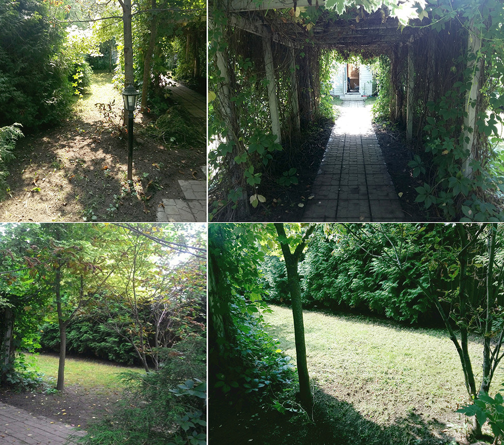 Ильинка. Реконструкция сада