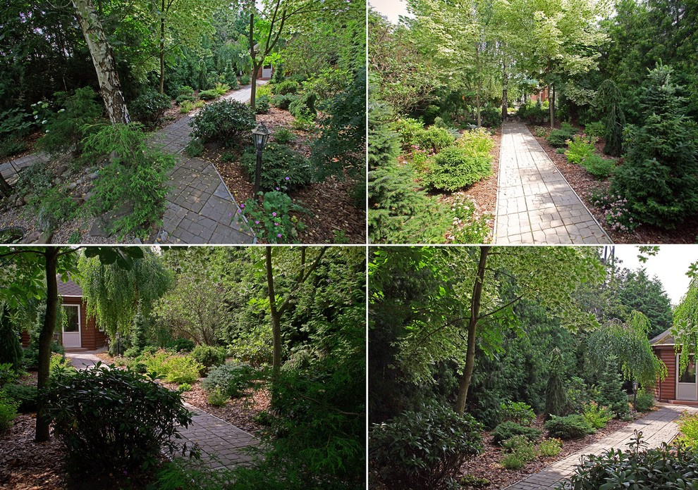 Ильинка. Реконструкция сада