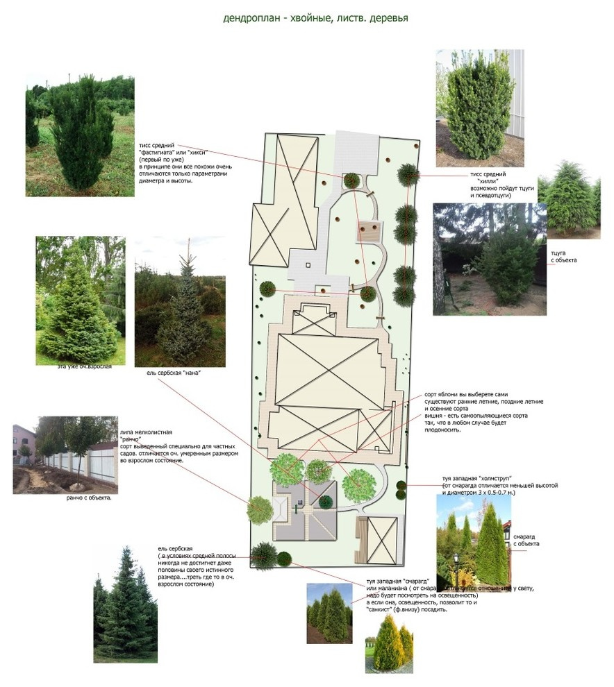 Проект ландшафтного дизайна для участка 15 соток