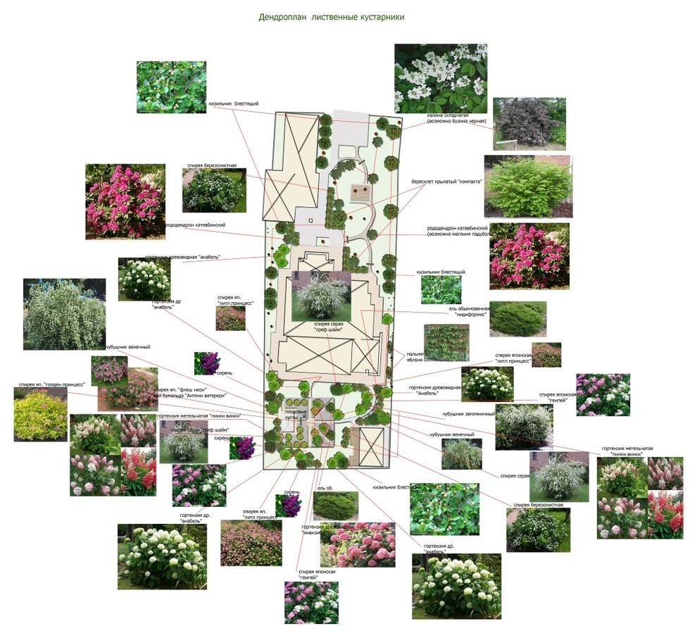 Проект ландшафтного дизайна для участка 15 соток