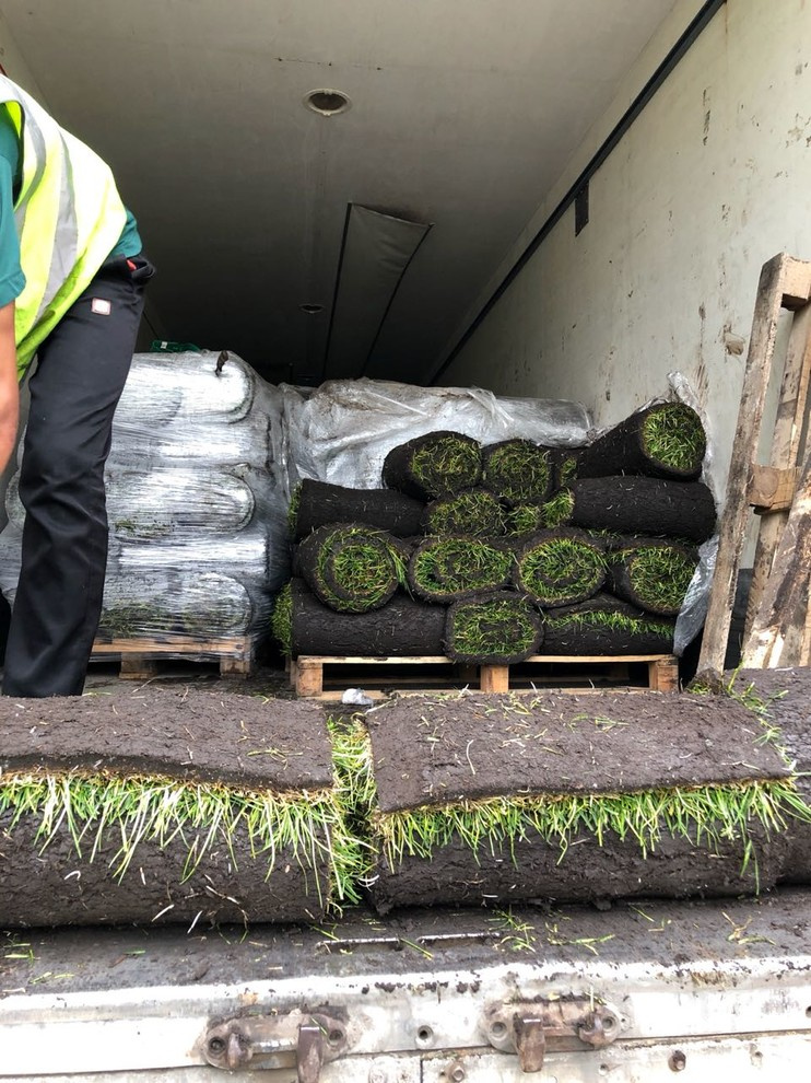 Наши работы