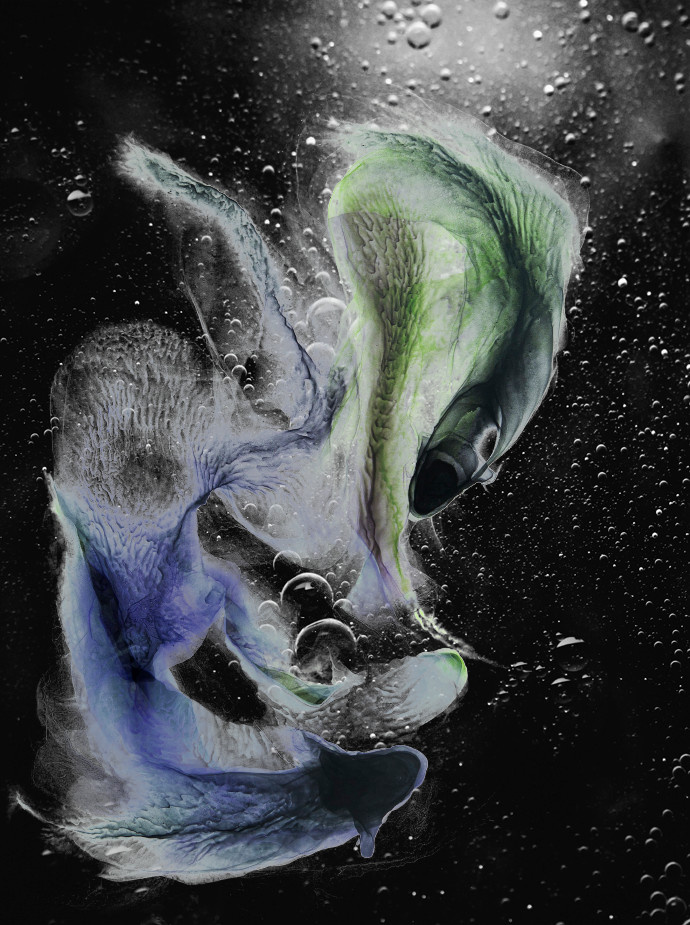 Обложка проекта: Чернильные сны/Ink dreams