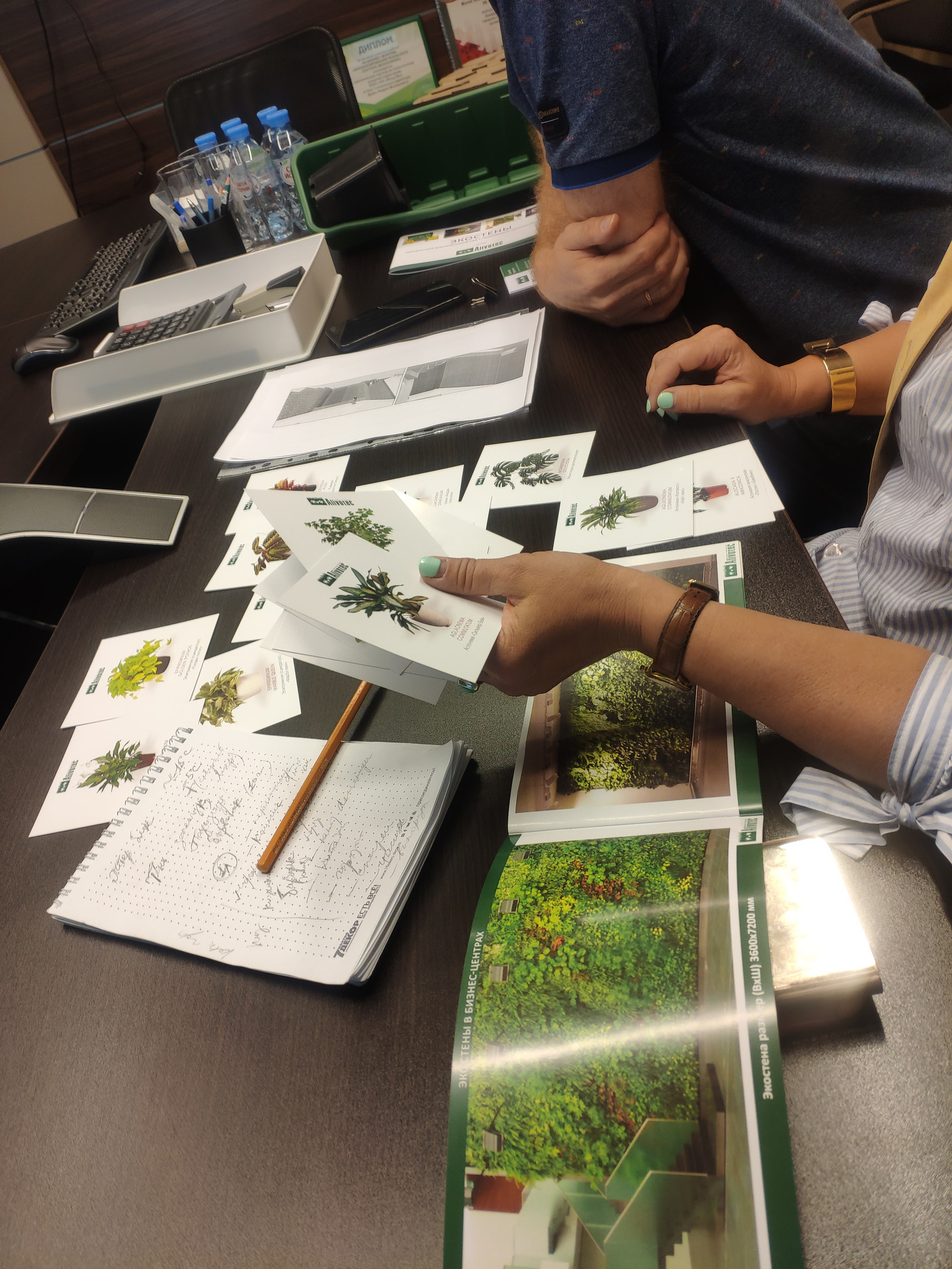 Вертикальный сад фитостена