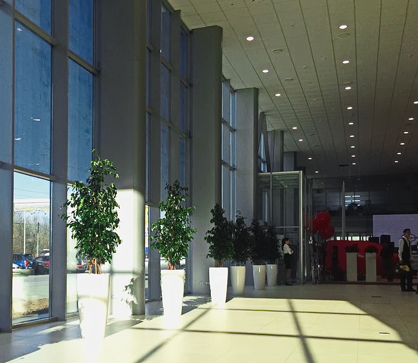 Озеленение автосалона Тойота Владивосток