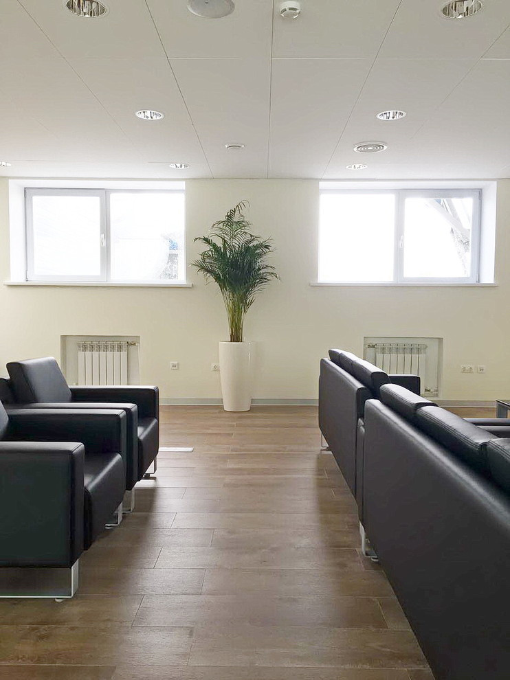 Озеленение автосалона Лексус Хабаровск