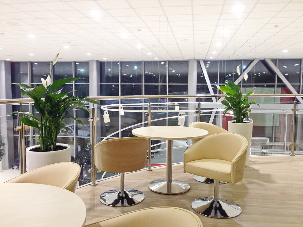 Озеленение автосалона Тойота Хабаровск