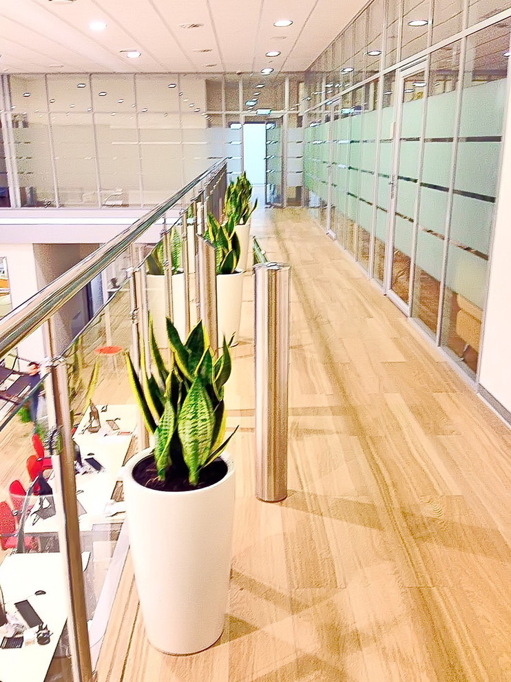 Озеленение автосалона Тойота Хабаровск