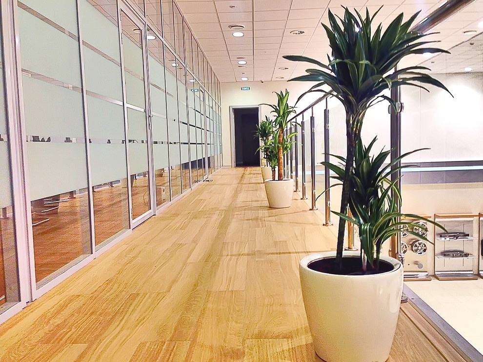 Озеленение автосалона Тойота Хабаровск