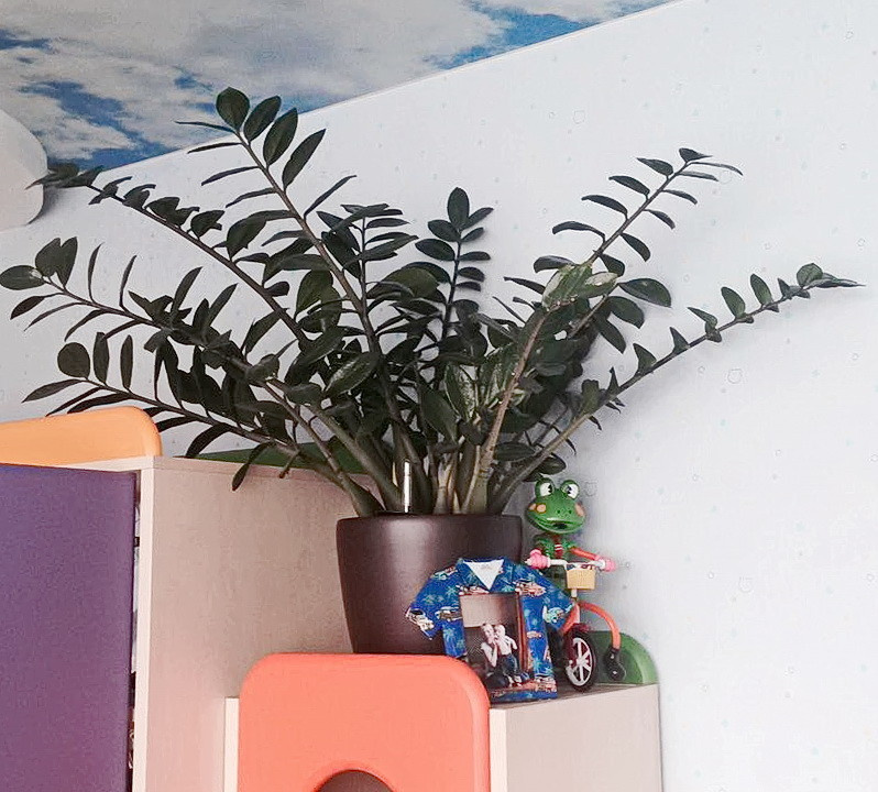 Озеленение частных квартир